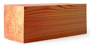 Everyone Should Have One